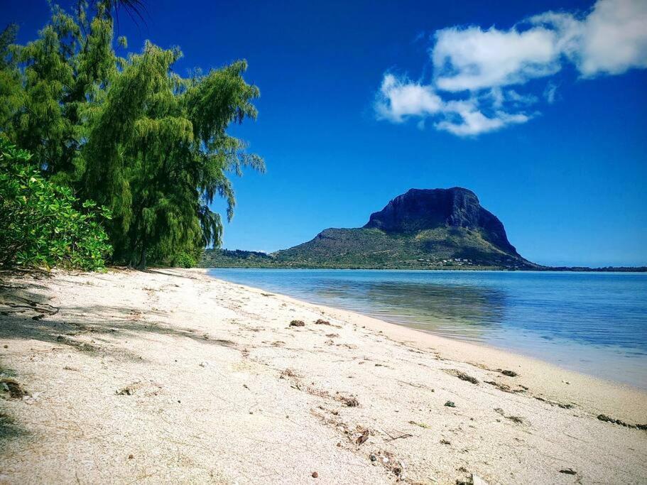 Case Creole Independante Proche Mer Ла-Голет Экстерьер фото
